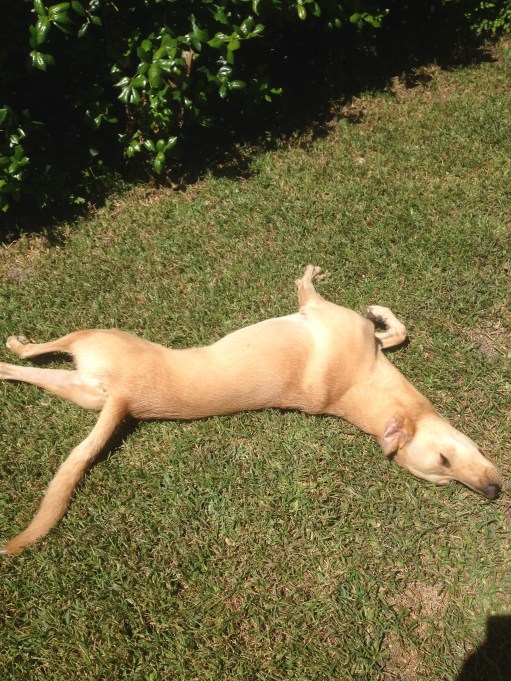 that just looks uncomfortable