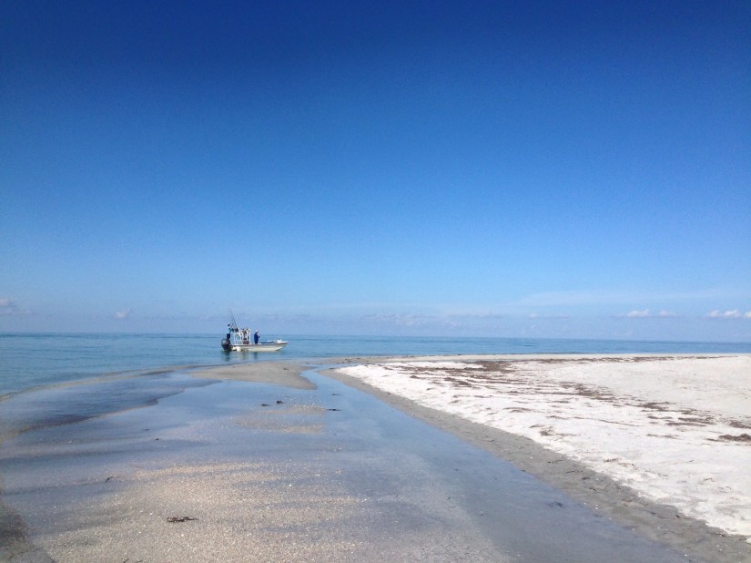 tumblr_static_40nq55ybuaucc088ko0s0800o