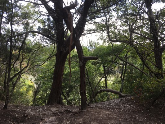 716CC2F7-AC93-4ABB-A5D7-11F8906F749B