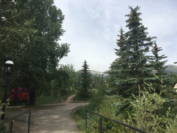 A09B45D2-9F33-4ADB-BA0C-4EF15B6C15F7